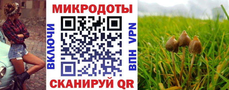Псилоцибиновые грибы мухоморы  наркотики  Лаишево 